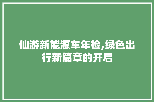 仙游新能源车年检,绿色出行新篇章的开启