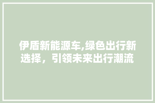伊盾新能源车,绿色出行新选择，引领未来出行潮流