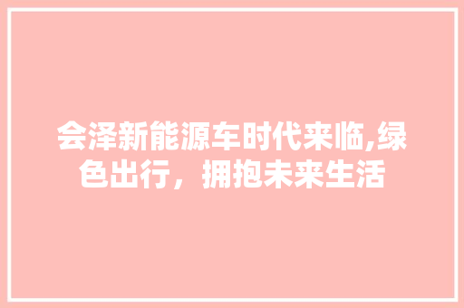 会泽新能源车时代来临,绿色出行，拥抱未来生活