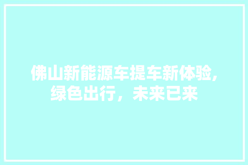 佛山新能源车提车新体验,绿色出行，未来已来