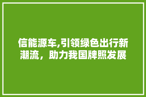 信能源车,引领绿色出行新潮流，助力我国牌照发展