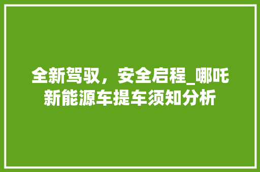 全新驾驭，安全启程_哪吒新能源车提车须知分析