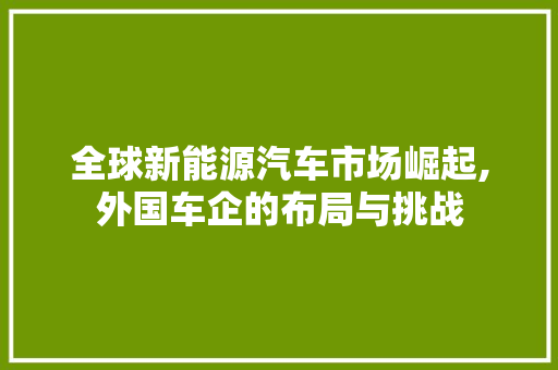 全球新能源汽车市场崛起,外国车企的布局与挑战