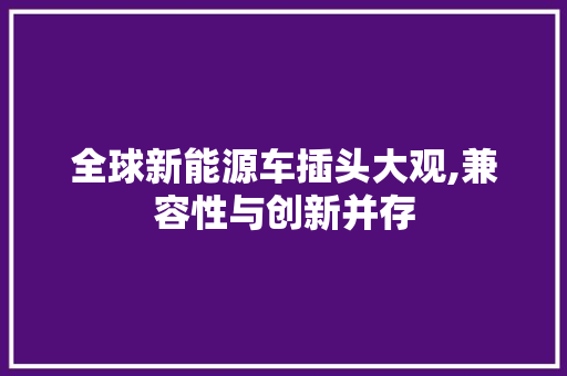 全球新能源车插头大观,兼容性与创新并存