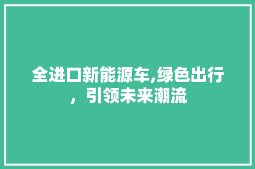 全进口新能源车,绿色出行，引领未来潮流