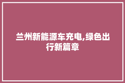 兰州新能源车充电,绿色出行新篇章