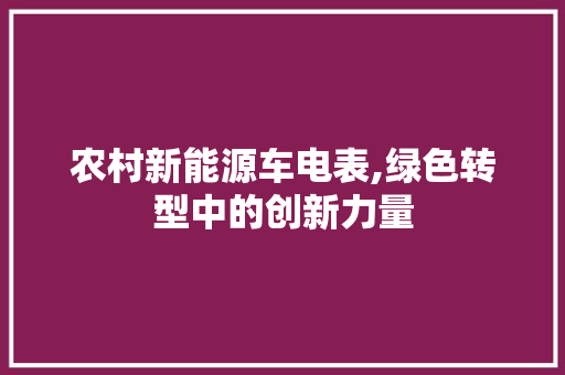 农村新能源车电表,绿色转型中的创新力量