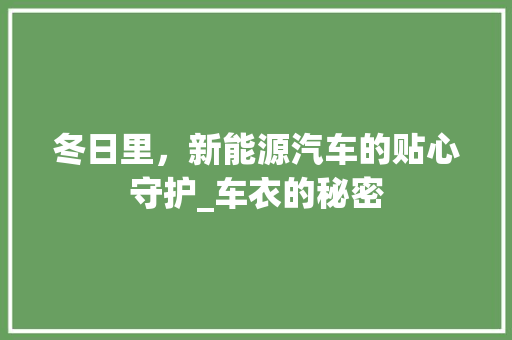 冬日里，新能源汽车的贴心守护_车衣的秘密