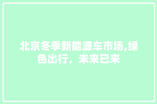 北京冬季新能源车市场,绿色出行，未来已来