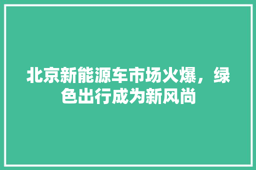 北京新能源车市场火爆，绿色出行成为新风尚