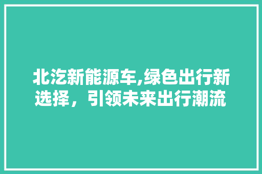 北汔新能源车,绿色出行新选择，引领未来出行潮流 新款车型
