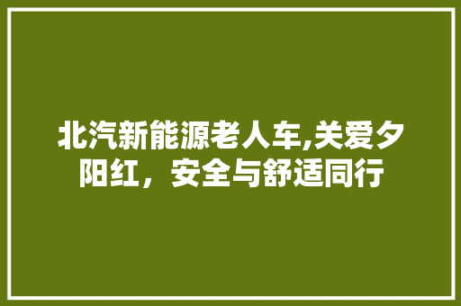 北汽新能源老人车,关爱夕阳红，安全与舒适同行