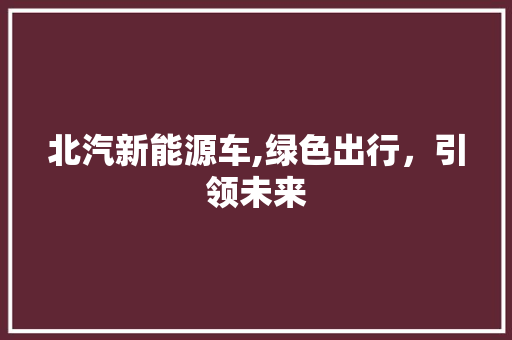 北汽新能源车,绿色出行，引领未来