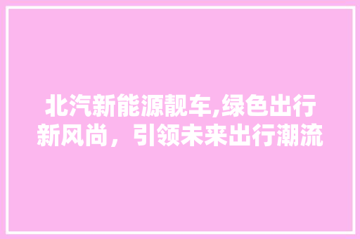 北汽新能源靓车,绿色出行新风尚，引领未来出行潮流