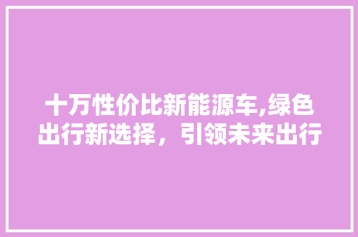 十万性价比新能源车,绿色出行新选择，引领未来出行潮流