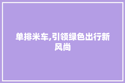 单排米车,引领绿色出行新风尚