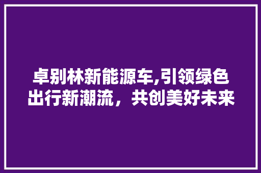 卓别林新能源车,引领绿色出行新潮流，共创美好未来