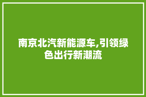 南京北汽新能源车,引领绿色出行新潮流