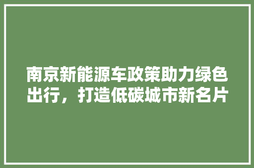 南京新能源车政策助力绿色出行，打造低碳城市新名片