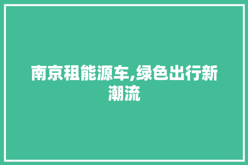 南京租能源车,绿色出行新潮流