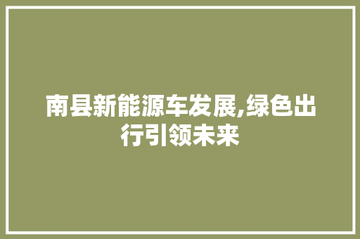 南县新能源车发展,绿色出行引领未来