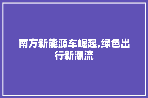 南方新能源车崛起,绿色出行新潮流
