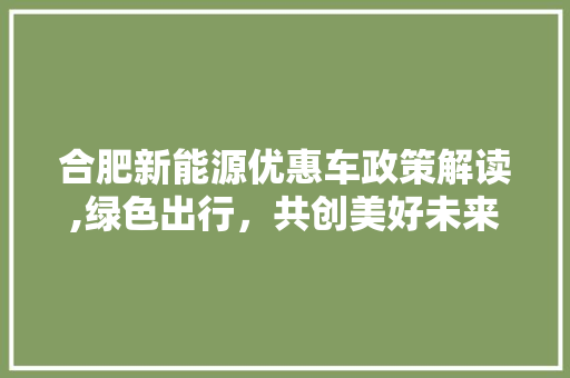 合肥新能源优惠车政策解读,绿色出行，共创美好未来