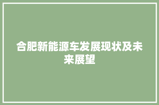 合肥新能源车发展现状及未来展望