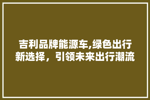吉利品牌能源车,绿色出行新选择，引领未来出行潮流