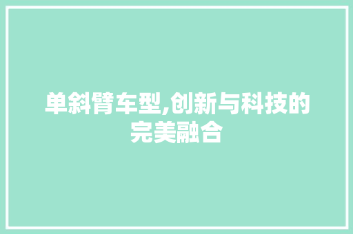 单斜臂车型,创新与科技的完美融合