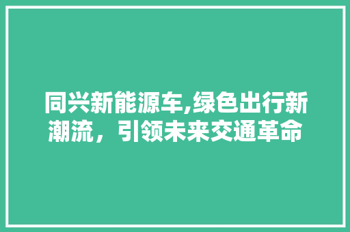 同兴新能源车,绿色出行新潮流，引领未来交通革命