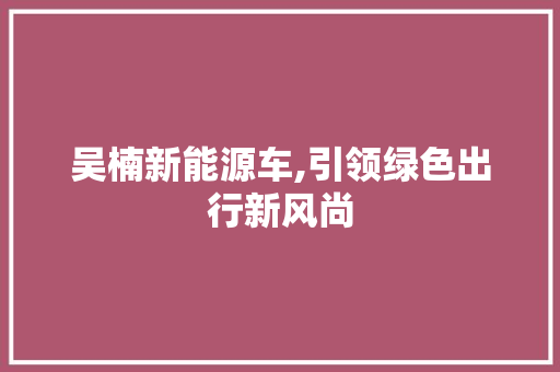 吴楠新能源车,引领绿色出行新风尚