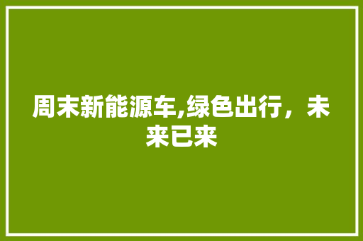 周末新能源车,绿色出行，未来已来 变速箱配件