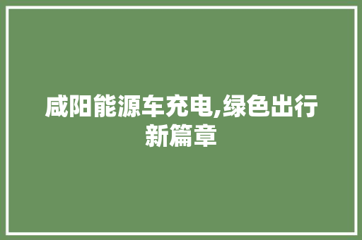 咸阳能源车充电,绿色出行新篇章