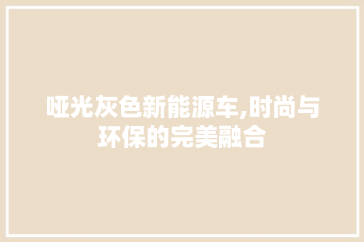 哑光灰色新能源车,时尚与环保的完美融合