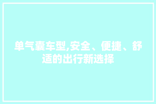 单气囊车型,安全、便捷、舒适的出行新选择