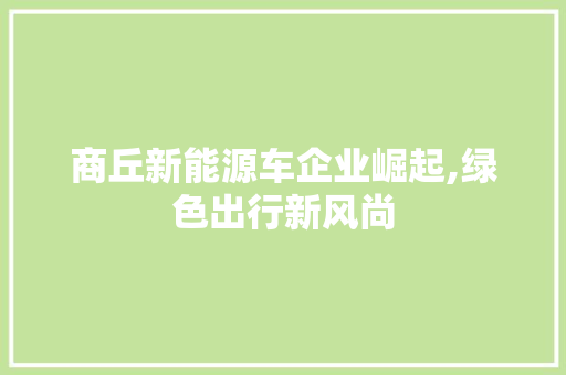 商丘新能源车企业崛起,绿色出行新风尚
