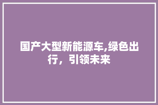 国产大型新能源车,绿色出行，引领未来
