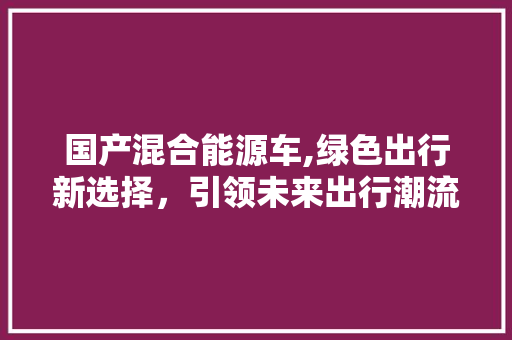 国产混合能源车,绿色出行新选择，引领未来出行潮流