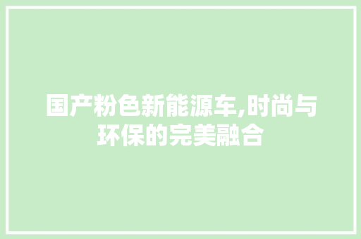 国产粉色新能源车,时尚与环保的完美融合