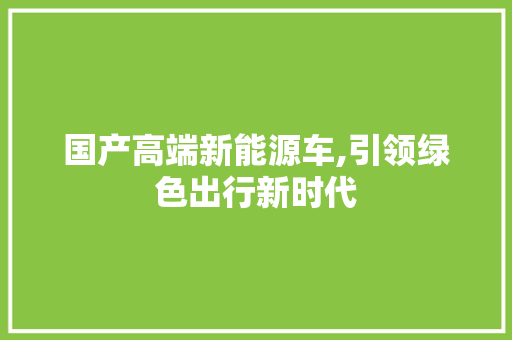 国产高端新能源车,引领绿色出行新时代
