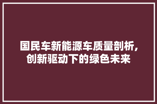 国民车新能源车质量剖析,创新驱动下的绿色未来