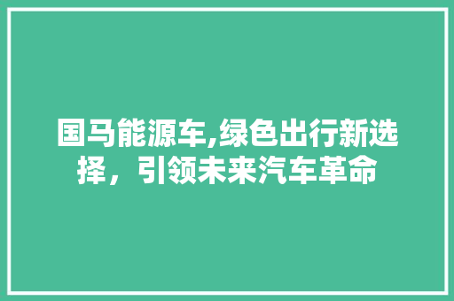 国马能源车,绿色出行新选择，引领未来汽车革命