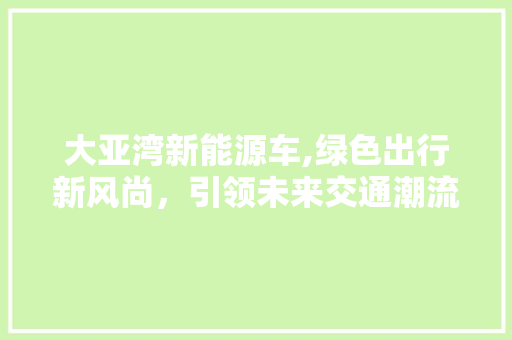 大亚湾新能源车,绿色出行新风尚，引领未来交通潮流