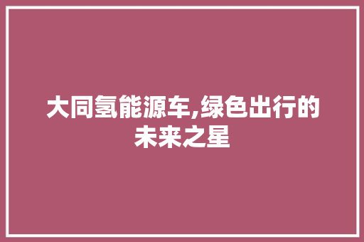 大同氢能源车,绿色出行的未来之星
