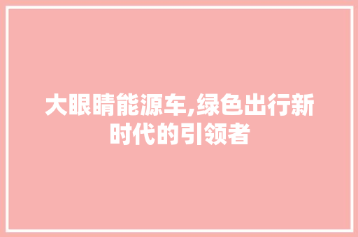 大眼睛能源车,绿色出行新时代的引领者