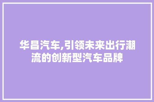 华昌汽车,引领未来出行潮流的创新型汽车品牌