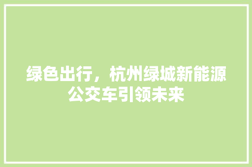 绿色出行，杭州绿城新能源公交车引领未来