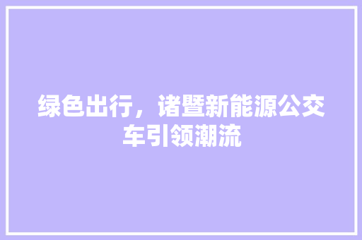 绿色出行，诸暨新能源公交车引领潮流