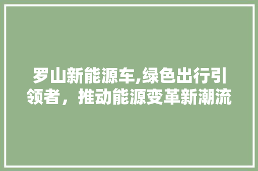 罗山新能源车,绿色出行引领者，推动能源变革新潮流